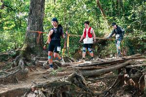 BIB: 
                            <button type="button" onclick="openModal(27558531)" class="btn btn-primary btn-sm float-right btn-popup" data-toggle="modal" data-target=".modal-high-quality">
                        <i class="fas fa-shopping-cart"></i> Add to Cart
                    </button>
                                            <button type="button" onclick="isThisMe(27558531, true)" class="btn btn-success btn-sm float-right btn-popup btn-isme hidden" data-toggle="tooltip" data-placement="bottom" title="นี่คือรูปของคุณใช่ไหม คลิกที่นี่เพื่อเอาเข้าอัลบั้ม">
                        <i class="fas fa-plus"></i> Add to album
                    </button>
                    <button type="button" onclick="isThisMe(27558531, false)" class="btn btn-warning btn-sm float-right btn-popup btn-isnotme hidden">
                        <i class="fas fa-ban"></i> Remove from album
                    </button>